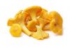 Frozen Chanterelle