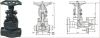 zhiyuan technical Forged Gate Valves