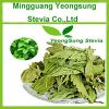 Natural Herbal Stevia ...