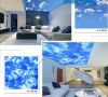 printed pvc ceiling film