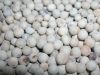 Best price for Viet Nam White Pepper