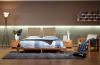 Eco-Friendly Modern do...