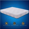 Memory Foam Mattress W...