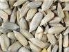 Sunflower hulled seeds karnels - variety of sorts! Top quality! Bakary type!