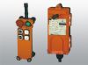 Radio remote control s...