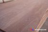 Okume faced Plywood fr...