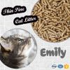 Pure Pine Cat Litter E...