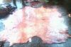 raw cow and sheep skin...