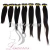 Lisaurus-J Unprocessed Virgin Brazilian Hair with Closure , 100% Brazilian Straight Hair Weave Bulk Hair Human With High Quality