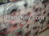 Digital Printing Flowe...