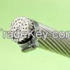 AAAC conductor in powe...