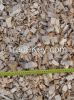 Wood chips 1# class for PELLET production