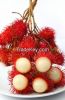 Fresh Rambutan