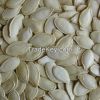 shine skin pumpkin seeds