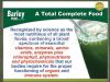 100% Pure Organic Barley Grass Concentration