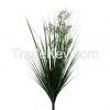 Onion Grass