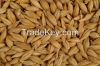 Barley grade 2, 3, fee...