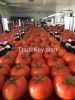 Traiding and export wi...