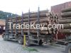 Teak Wood