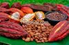 Organic Cocoa & Co...