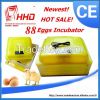 Edward Fully Automatic Mini Incubator/Commercial Incubator For hatching 88 Eggs