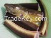 Live Eel Fish ( fresh ...