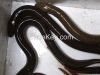 Live Eel Fish ( fresh ...