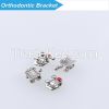 orthodontic MINI ROTH ...