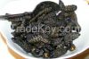 Mopane Dried Worms