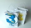 Promotion Paper Bags