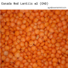 Red Lentils #2 - Canada Red (CAN)