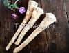 Fresh Gourmet Horseradish Roots 2014 crops