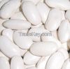 White kidney bean extract