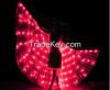 LED Wings Belly Dance