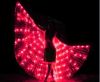 LED Wings 