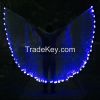 China Best LED Wings