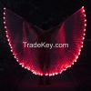 China Best LED Wings