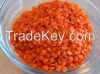 Red Split Lentil