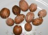 Organic Nutmeg - Without Shell