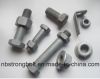 Hex Head Cap Screw ANSI/ASTM/ASME Hex Bolt with HDG