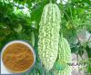Bitter melon extract 1...