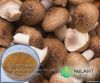 Fungi Mushroom extract Polysaccharides