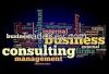 Business Setup Consult...
