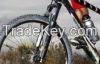 Bicycle Industry