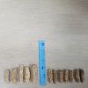 Dried sea cucumber 
