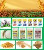 Corn, Maize Meal, Pota...