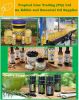 Edible Oils, Essential...