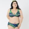 2015 New Brand Big Women Plus Size Sexy Bikini Brazilian Biquini Swimsuit Triangl Swimwear Bikini Push Up Busty Ladies Bikinis XL - 5XL