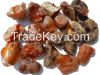 Raw amber ukrainian