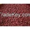 Organic Annatto Seeds ...